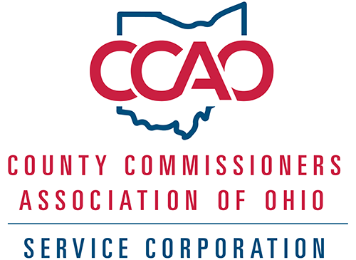 Ccao Service Corp Logo
