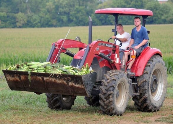 Home Grown – How agriculture shapes Commissioner Champ Henson’s outlook on community, public service